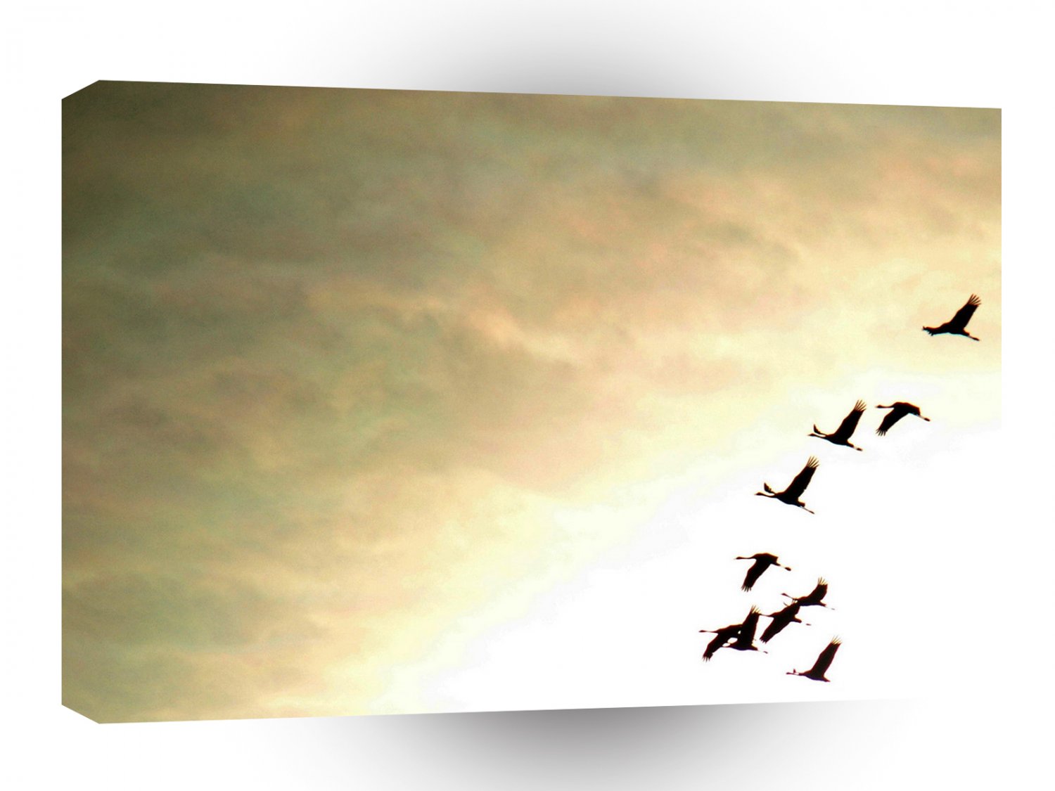Bird Geese Fly East A1 Xlarge Canvas