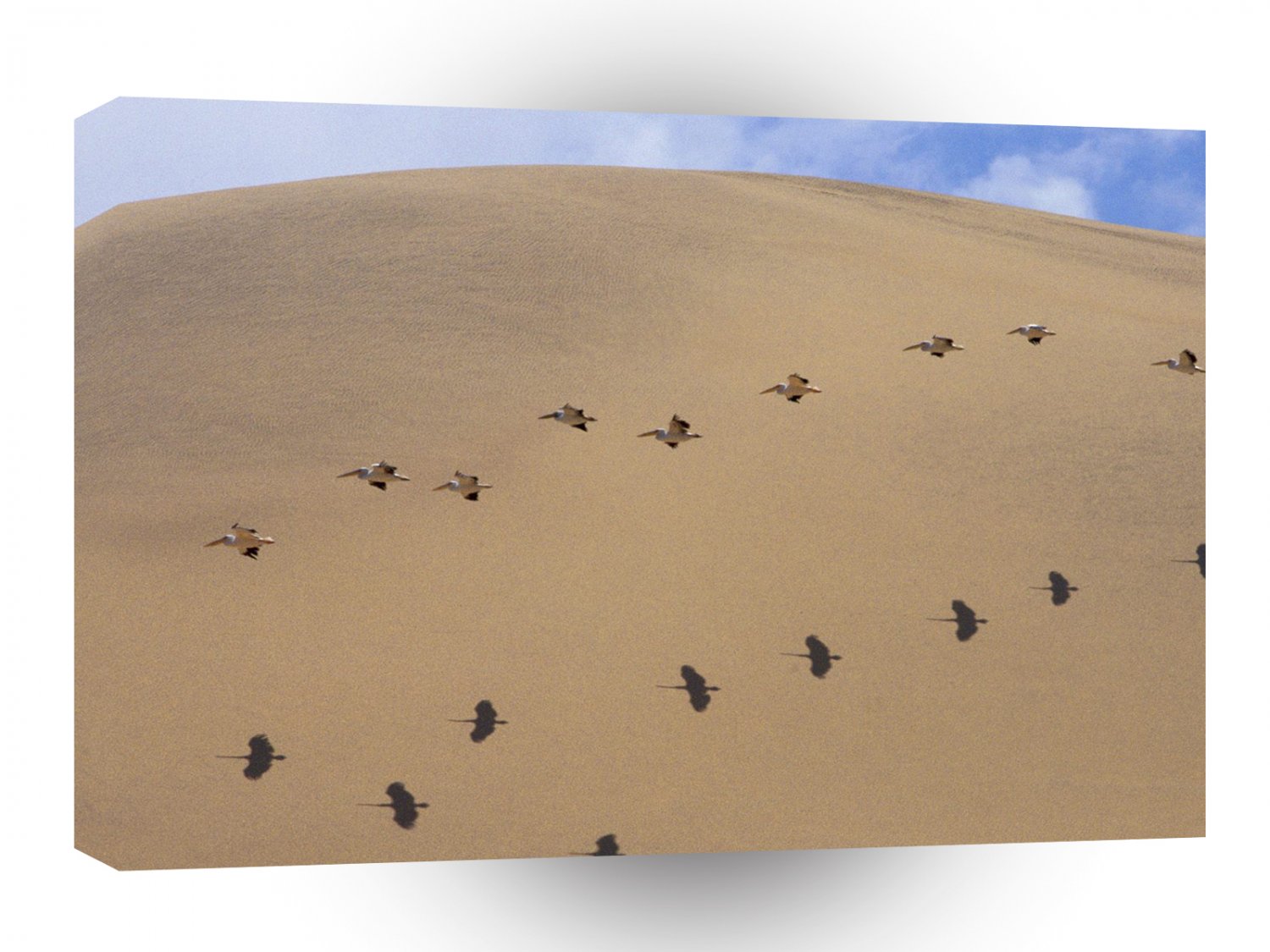 Bird Pelican Pattern Namibia Africa A1 Xlarge Canvas