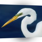 Bird Perfect Form Egret A1 Xlarge Canvas