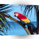 Bird Scarlet Macaw Air A1 Xlarge Canvas