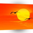 Bird Seagulls At Sunrise Florida A1 Xlarge Canvas