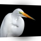 Bird White Heron A1 Xlarge Canvas