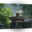 Birds Morning Bather A1 Xlarge Canvas