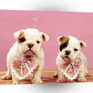 Bulldog Be Our Valentines A1 Xlarge Canvas