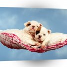 Bulldog Hammock Happiness A1 Xlarge Canvas