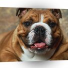 Bulldog Say Cheese A1 Xlarge Canvas