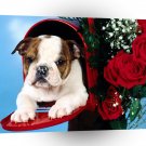 Bulldog Special Delivery A1 Xlarge Canvas