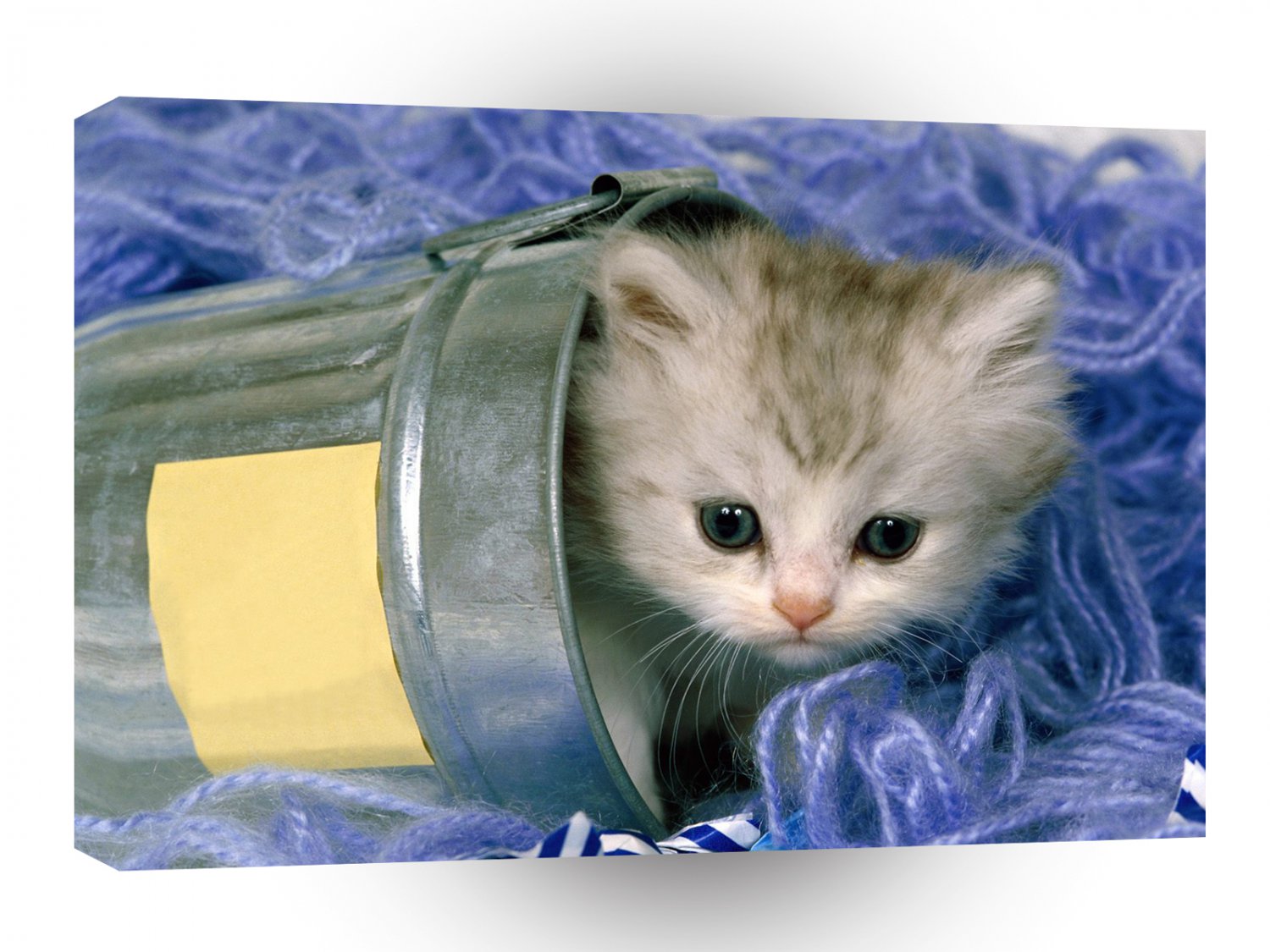 Cat Hide Seek Time A1 Xlarge Canvas