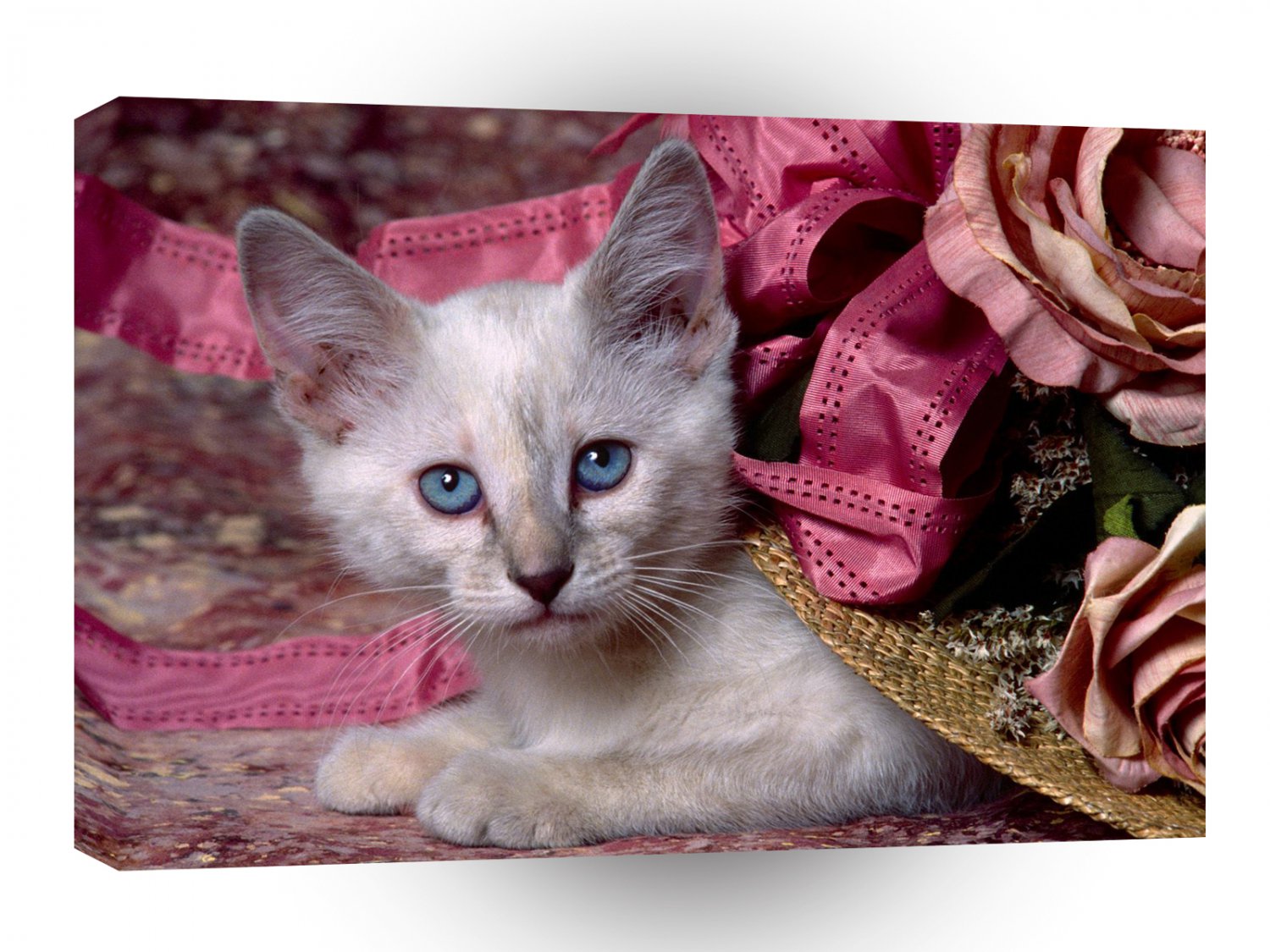 Cat In Hat Siamese Kitten A1 Xlarge Canvas