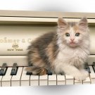 Cat In Key Of Calico A1 Xlarge Canvas