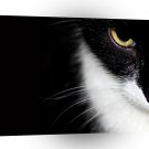 Cat Intense Tuxedo A1 Xlarge Canvas