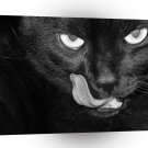 Cat Lick Of The Lips A1 Xlarge Canvas