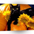 Cat Midnight A1 Xlarge Canvas