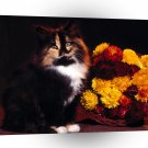 Cat October Calico Mix A1 Xlarge Canvas