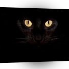 Cat Out Of The Shadows A1 Xlarge Canvas