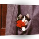 Cat Pocket Of Purrs A1 Xlarge Canvas
