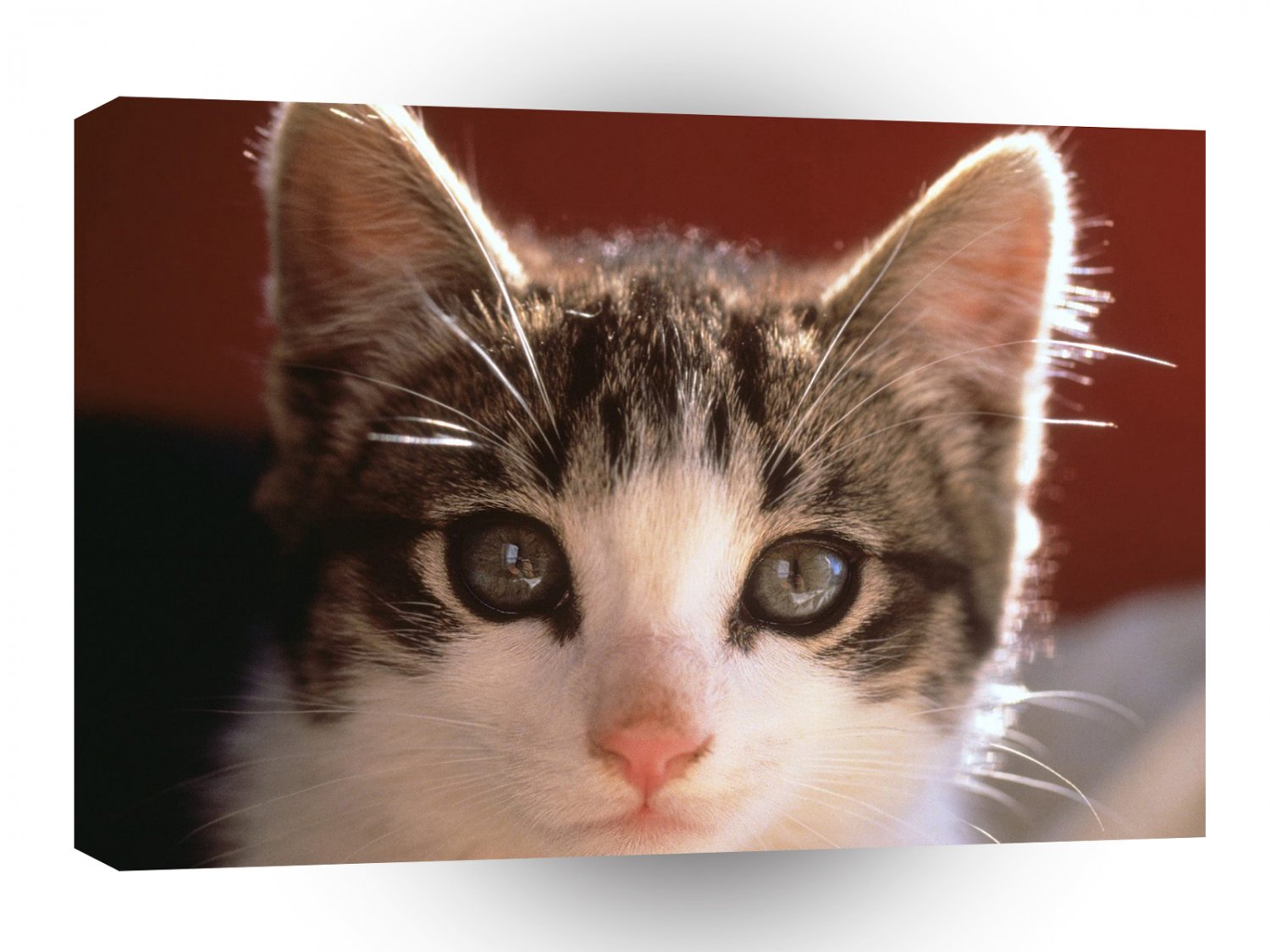 Cat Pretty Kitty A1 Xlarge Canvas