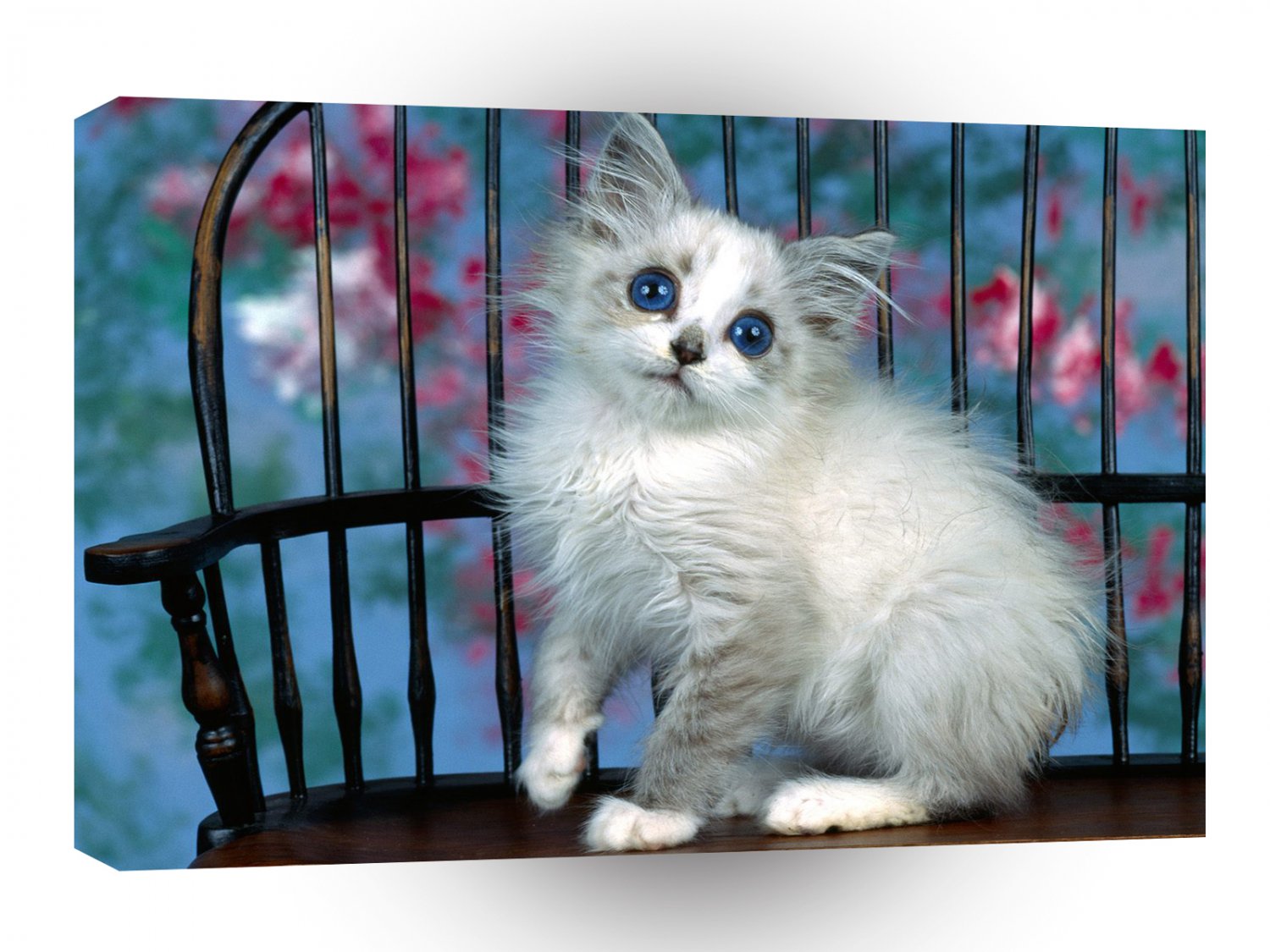 Cat Strange Love A1 Xlarge Canvas