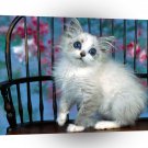 Cat Strange Love A1 Xlarge Canvas