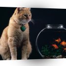 Cat Temptation A1 Xlarge Canvas