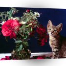 Cat To Be Adored A1 Xlarge Canvas