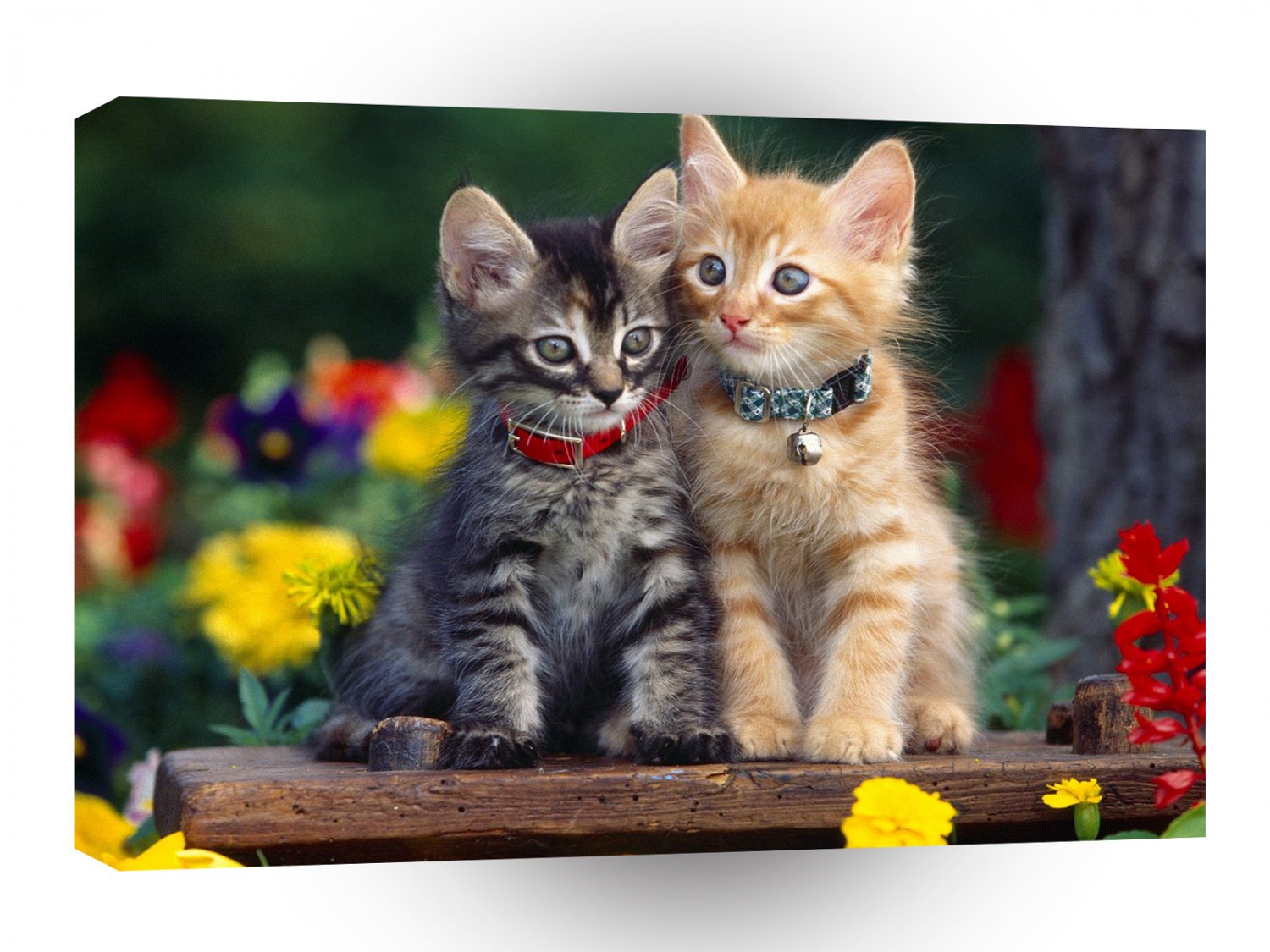 Cat Two Cute A1 Xlarge Canvas