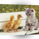 Cat With Duck Friends A1 Xlarge Canvas