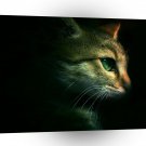 Cats Eye Of The Pousse A1 Xlarge Canvas