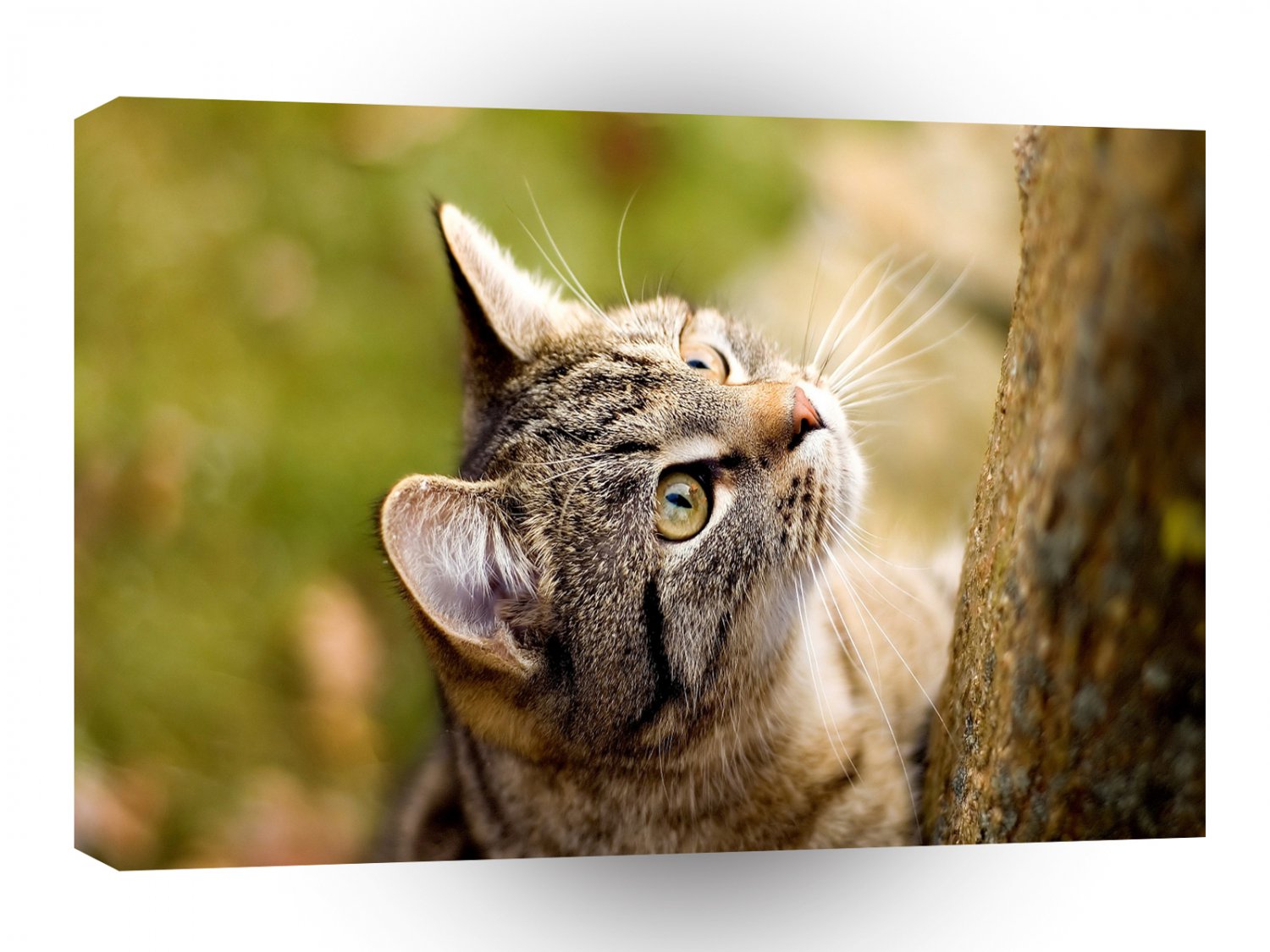 Cats Mr Hunter A1 Xlarge Canvas
