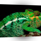 Chameleons Ugly George Madagascar A1 Xlarge Canvas