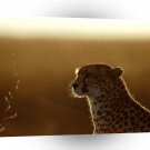 Cheetah Afterthoughts A1 Xlarge Canvas