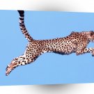 Cheetah Air Time A1 Xlarge Canvas