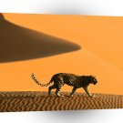 Cheetah Desert Namibia Africa A1 Xlarge Canvas