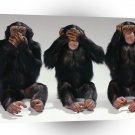 Chimpanzees Speak No Evil A1 Xlarge Canvas