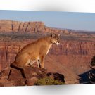Cougar Canyon Vista A1 Xlarge Canvas