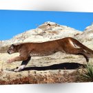 Cougar Full Charge A1 Xlarge Canvas