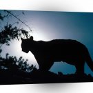 Cougar Moonlighting A1 Xlarge Canvas