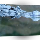 Crocodile Silver Surfer A1 Xlarge Canvas