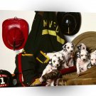 Dalmation Firemans Friends A1 Xlarge Canvas