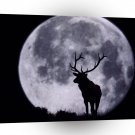 Deer An Evening In The Wild A1 Xlarge Canvas