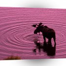 Deer Bull Moose Denali Alaska A1 Xlarge Canvas