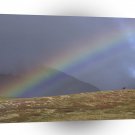 Deer Rainbow Arctic Refuge Alaska A1 Xlarge Canvas