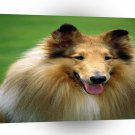 Dog A Jolly Collie A1 Xlarge Canvas