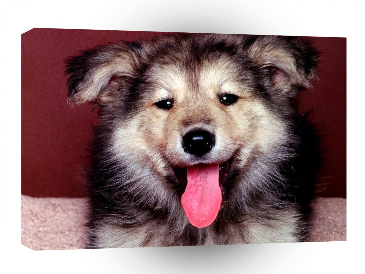 Dog A True Friend Shepherd A1 Xlarge Canvas