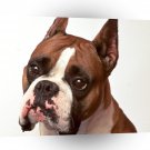 Dog Barnabus Boxer A1 Xlarge Canvas