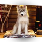 Dog Best Seat In The House A1 Xlarge Canvas