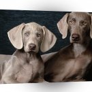 Dog Bunny And Biscuit Weimaraners A1 Xlarge Canvas