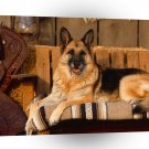 Dog Country Canine German Shepherd A1 Xlarge Canvas