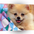 Dog Cuddly Soft Pomeranian A1 Xlarge Canvas