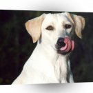 Dog Delicious A1 Xlarge Canvas